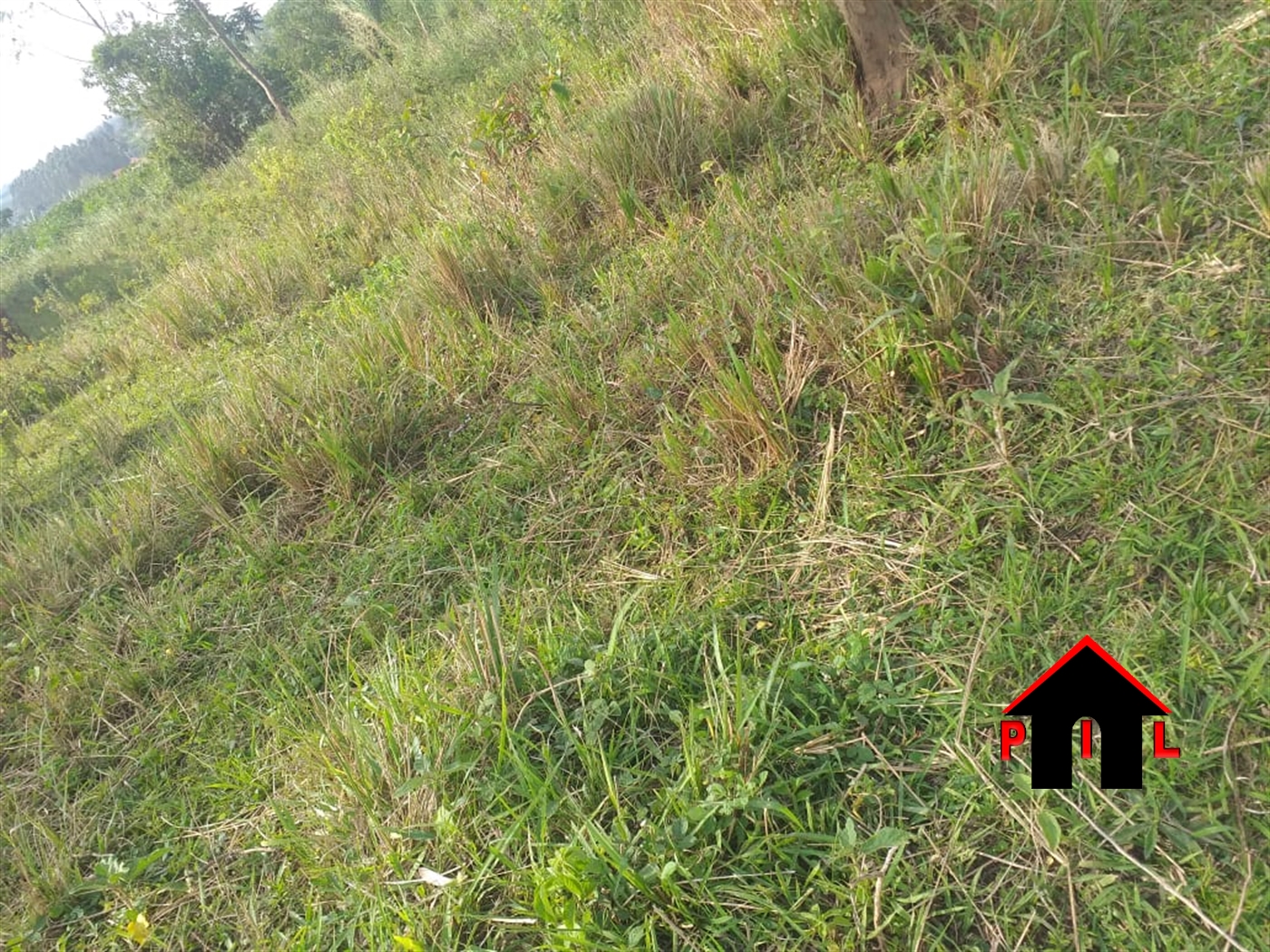 Residential Land for sale in Park Mukono