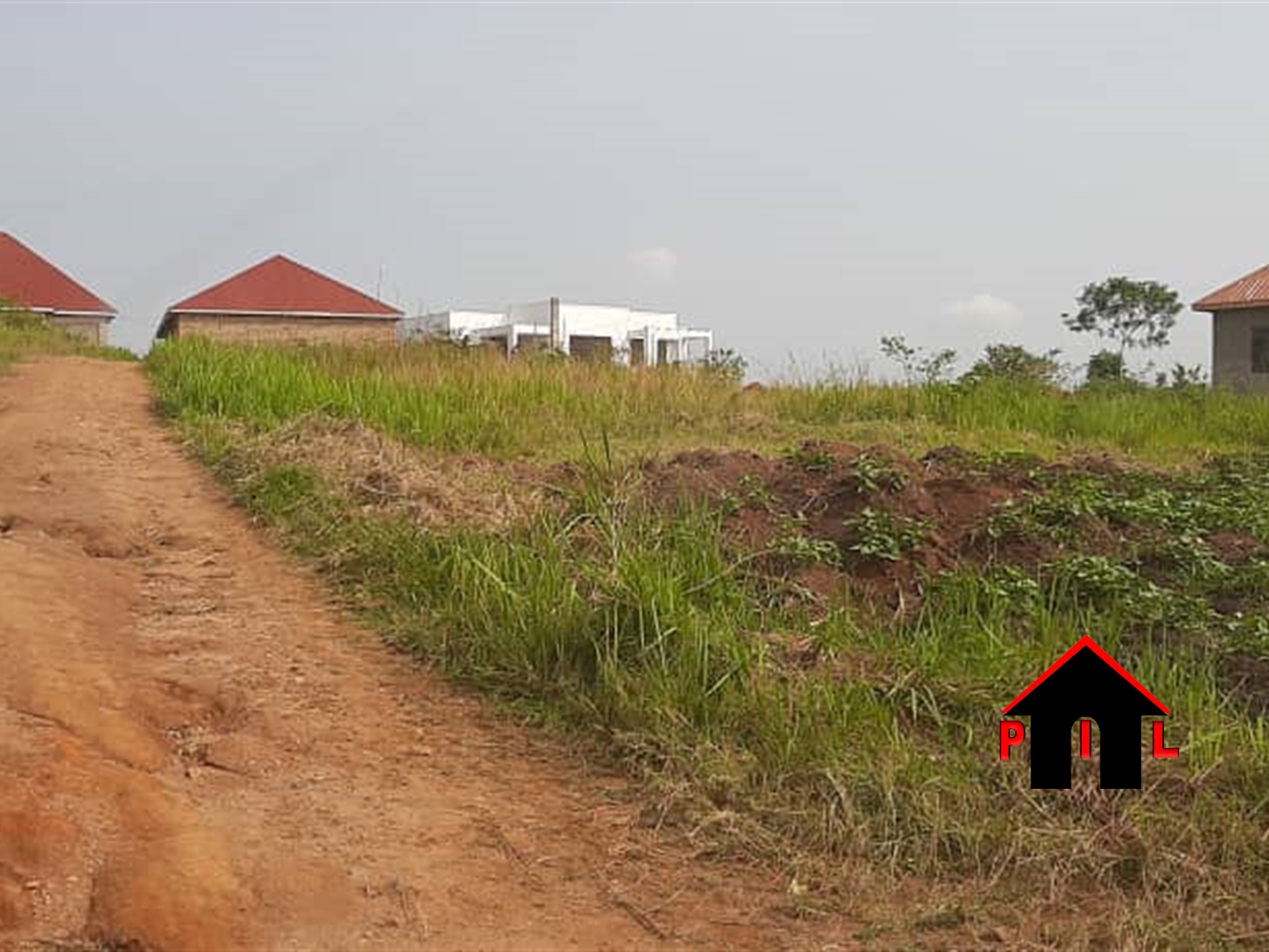 Residential Land for sale in Kaseenene Wakiso