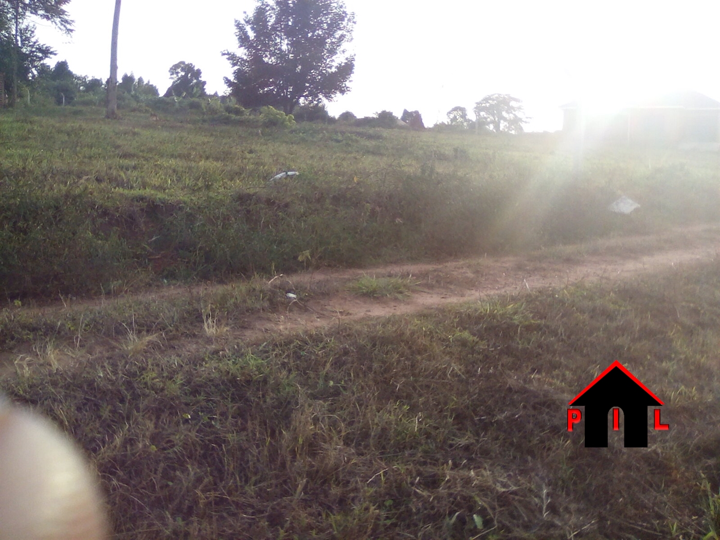 Agricultural Land for sale in Buseruka Hoima