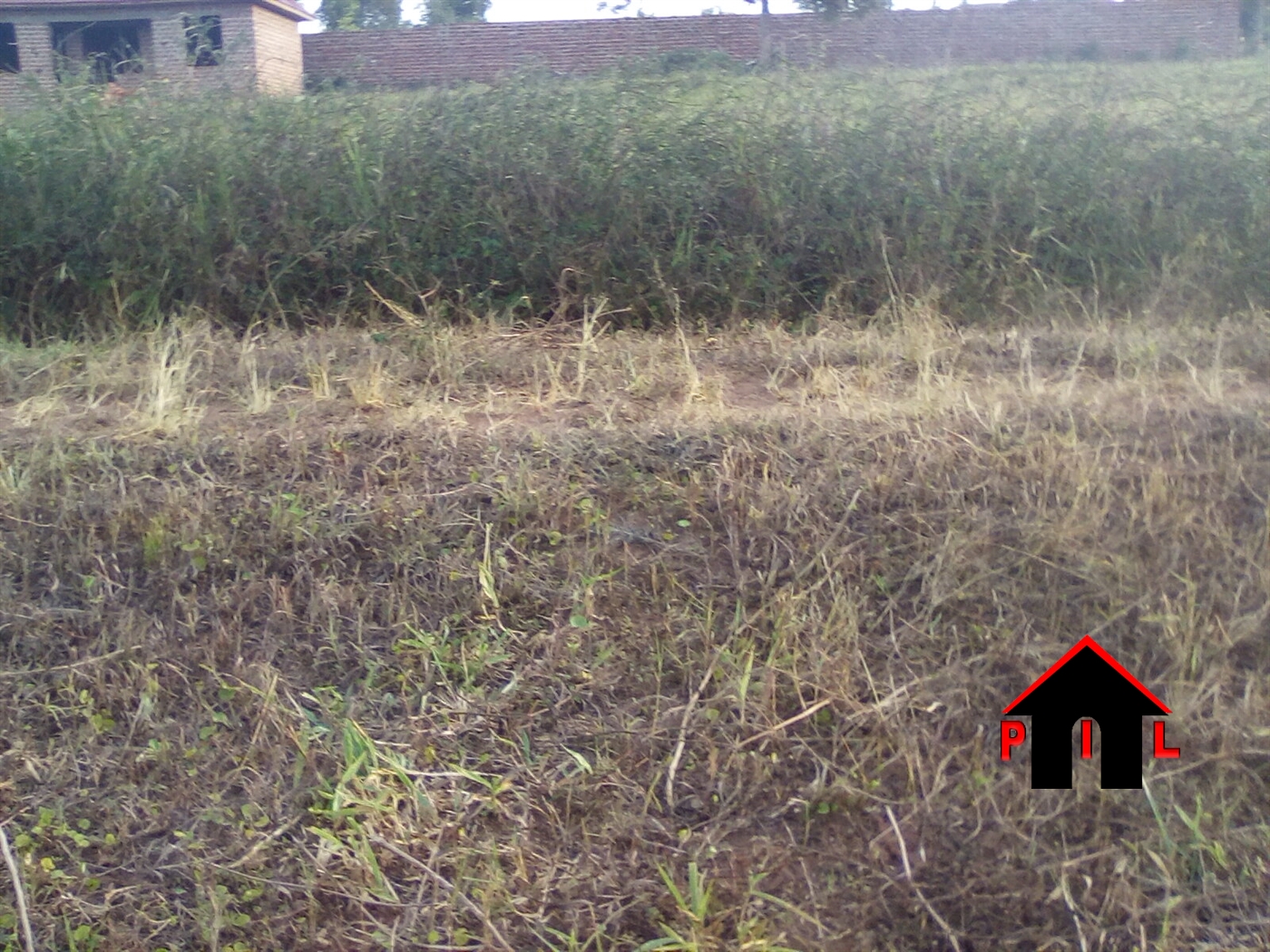 Agricultural Land for sale in Buseruka Hoima