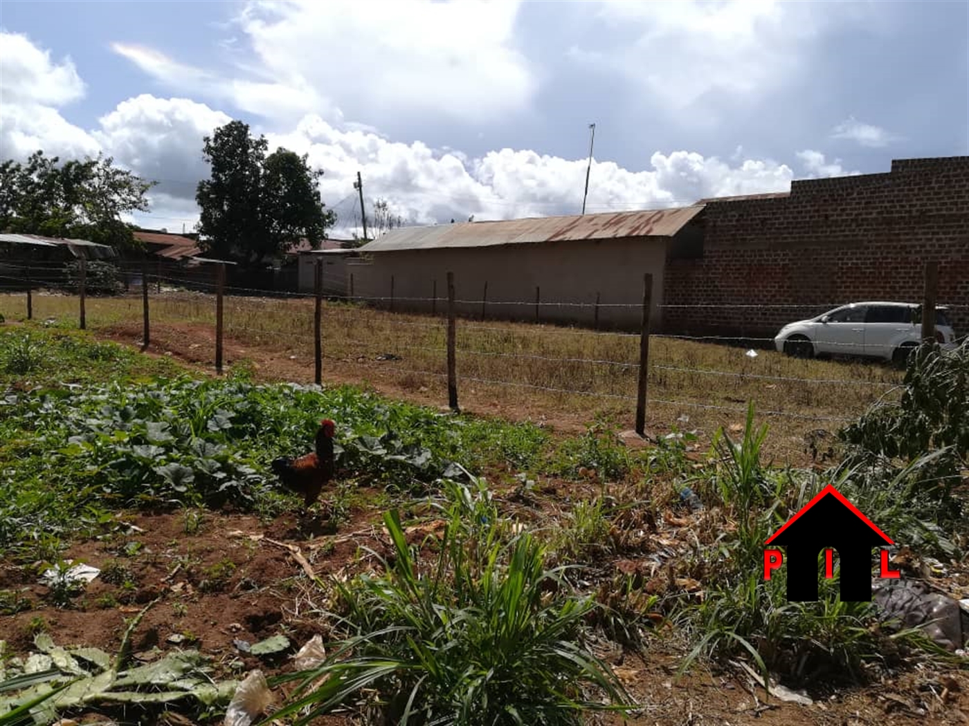 Agricultural Land for sale in Nabweyanga Masaka