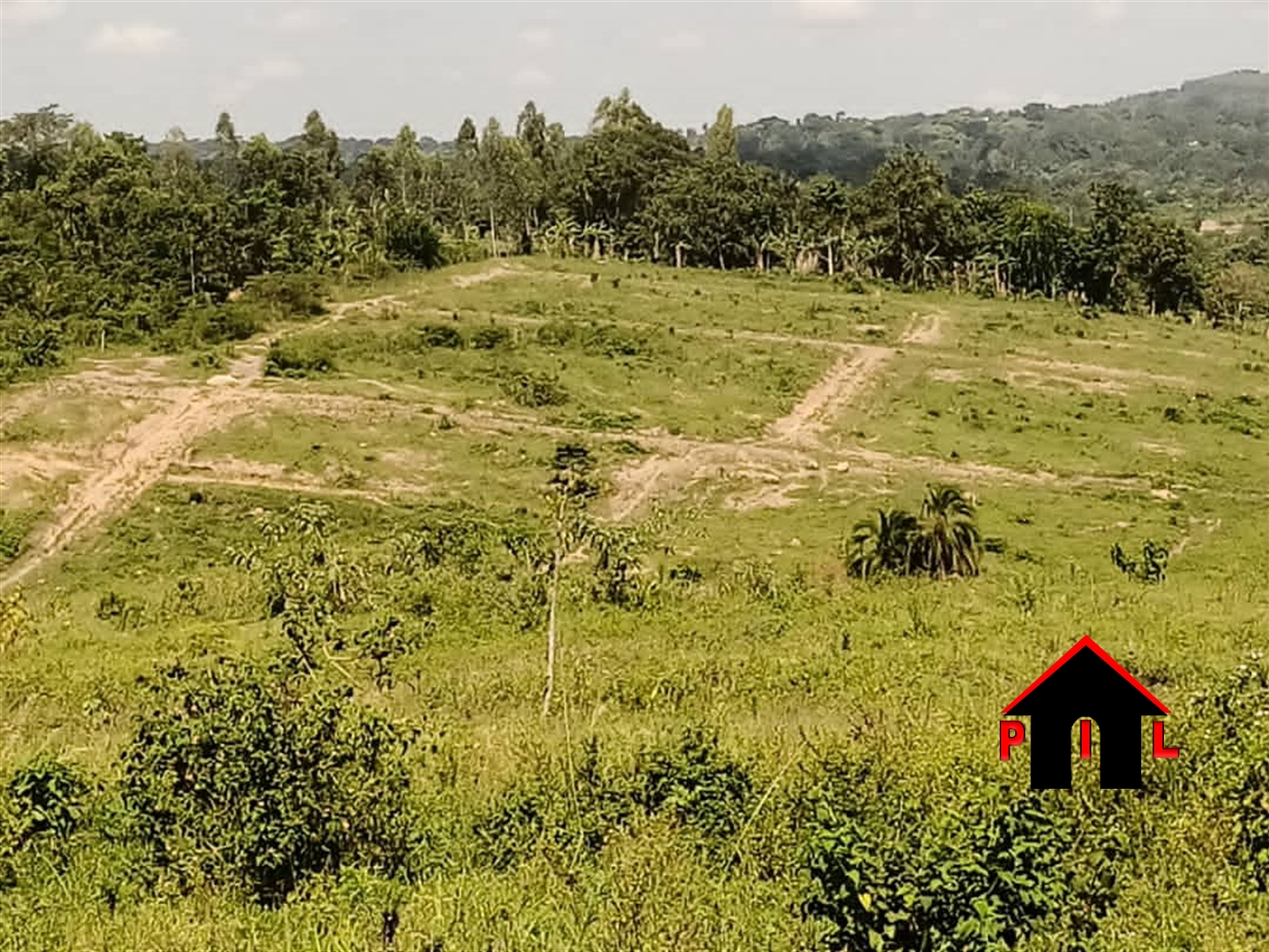 Agricultural Land for sale in Bukaana Sembabule