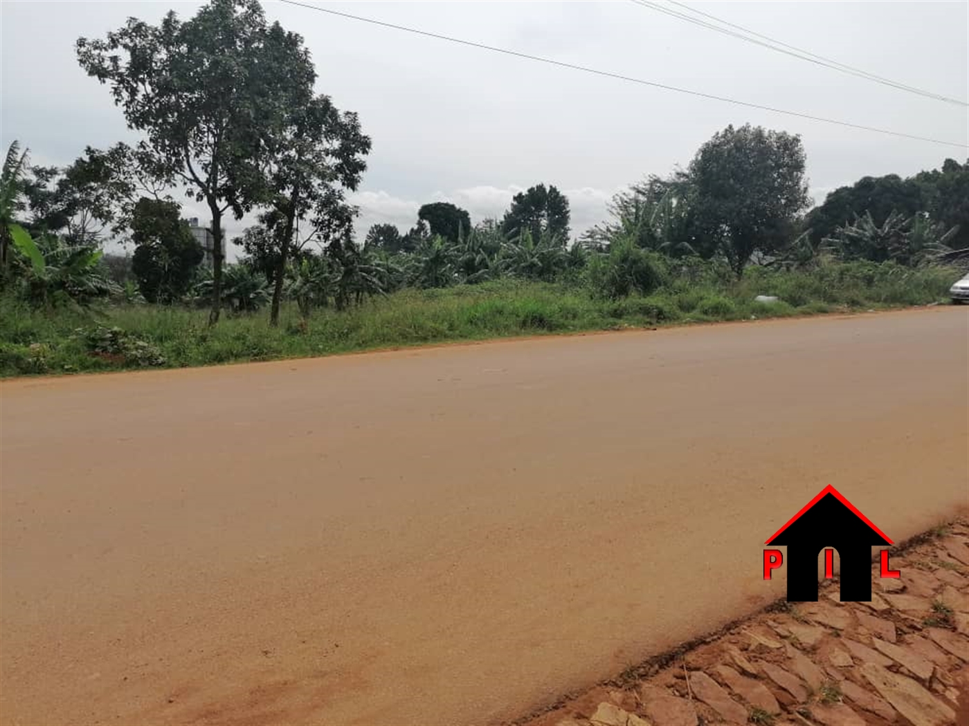 Agricultural Land for sale in Nabugabo Wakiso