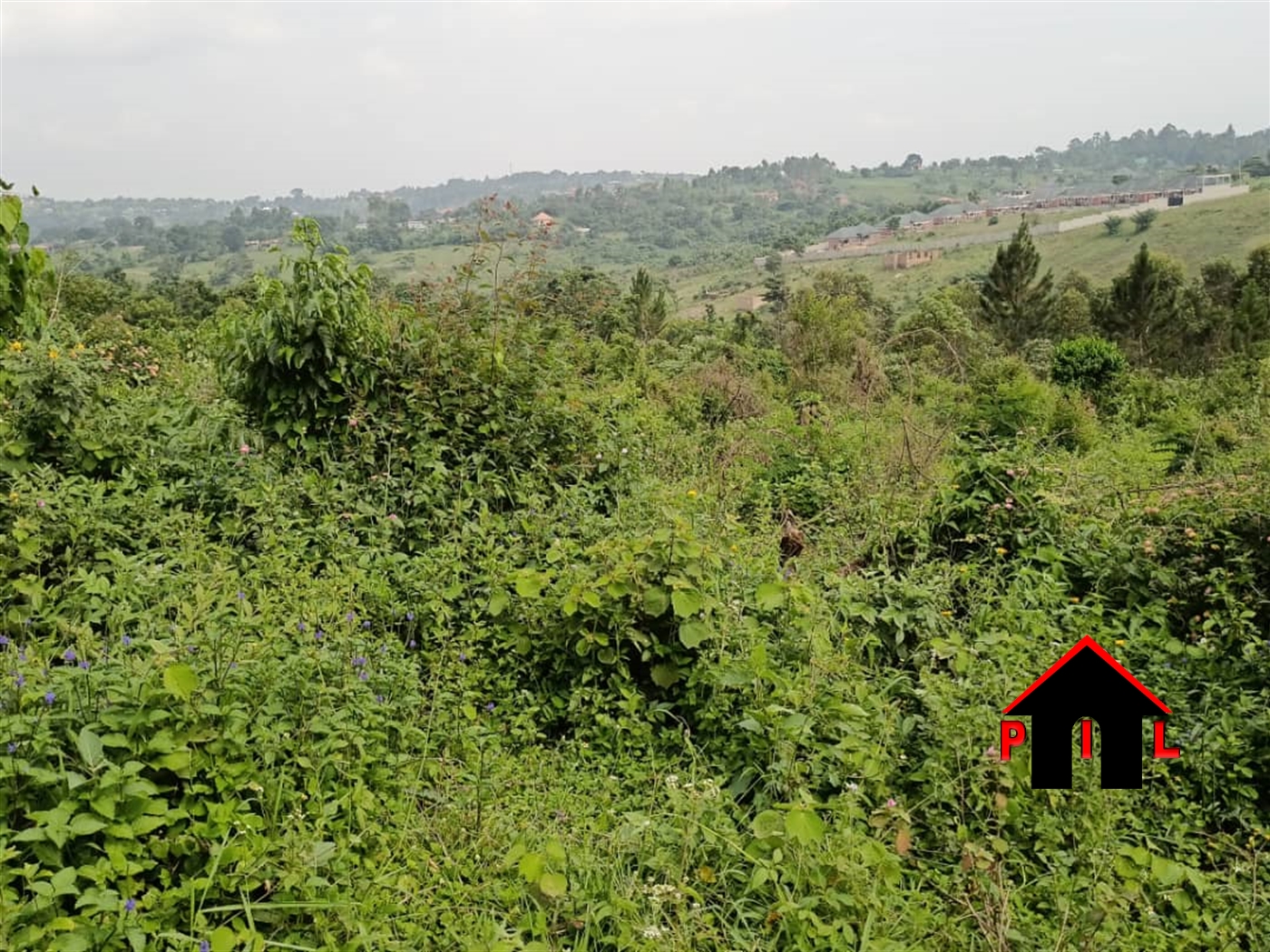 Agricultural Land for sale in Kyanamukaaka Masaka