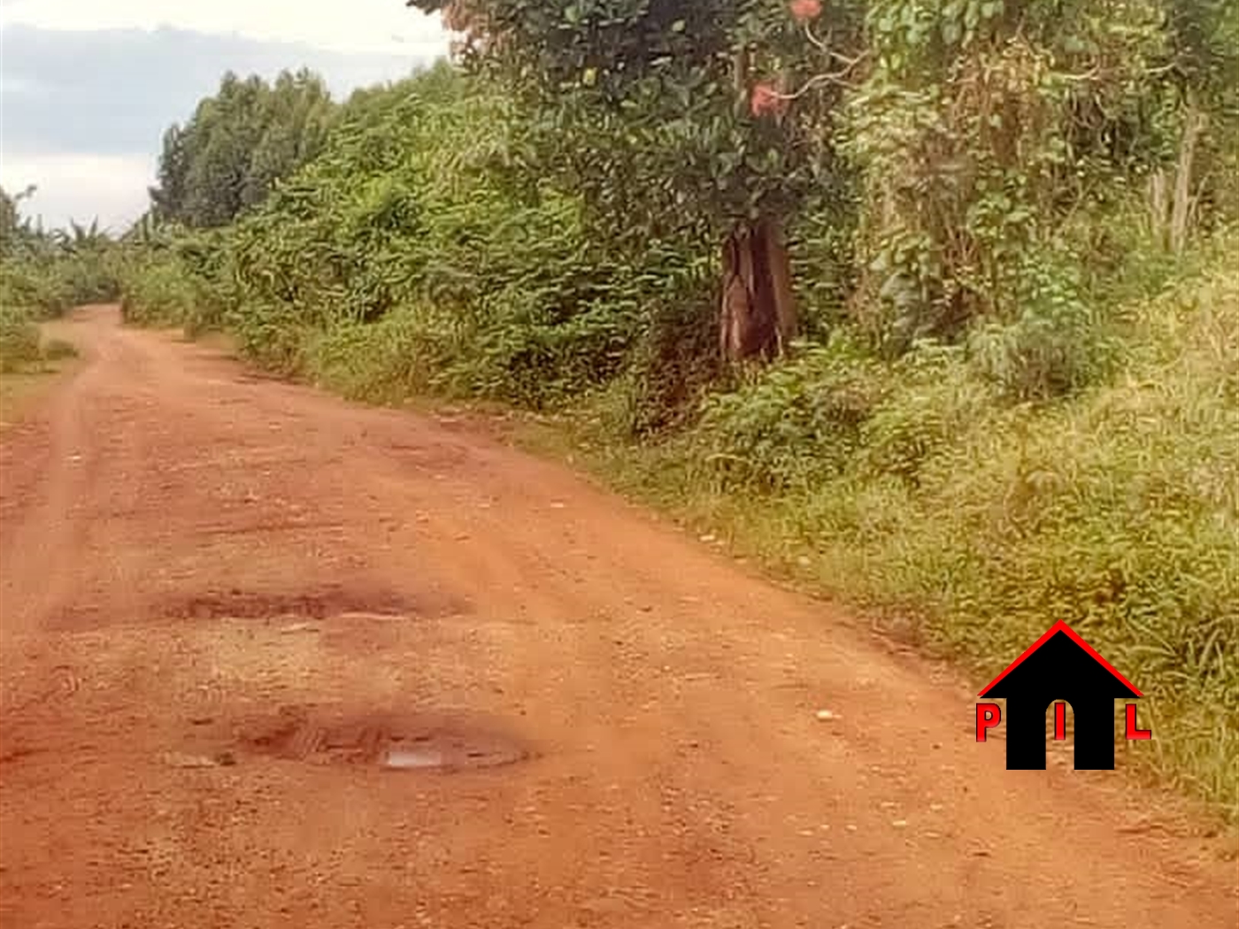 Residential Land for sale in Kitemu Masaka