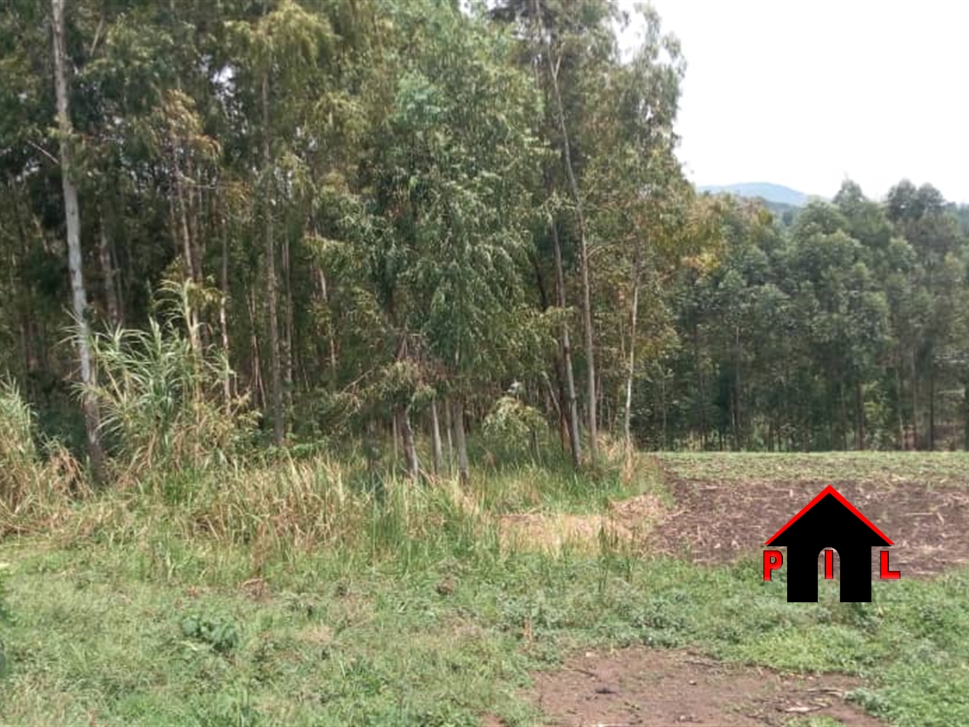 Agricultural Land for sale in Kona Wakiso