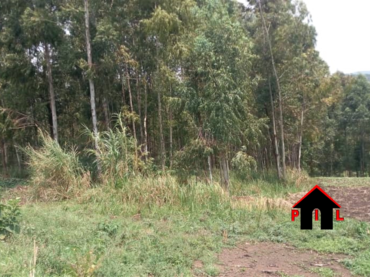 Agricultural Land for sale in Kona Wakiso