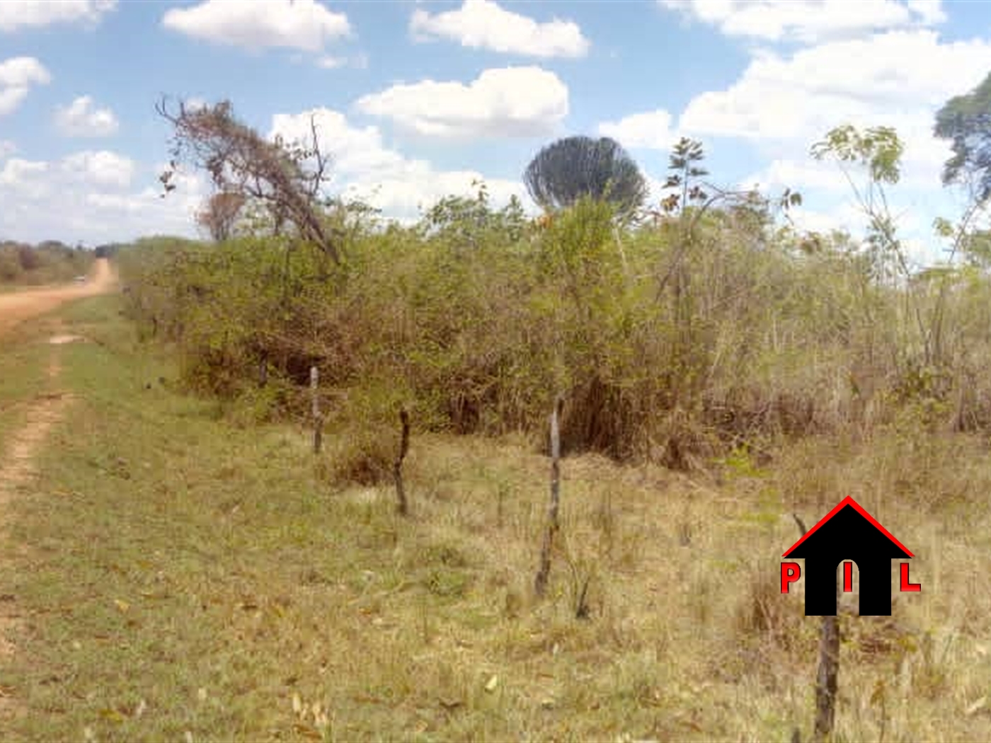 Agricultural Land for sale in Kapeeka Nakaseke