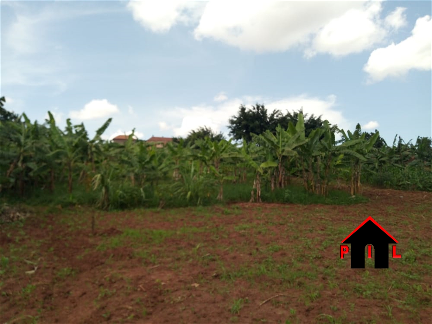 Agricultural Land for sale in Kikyuusa Luweero