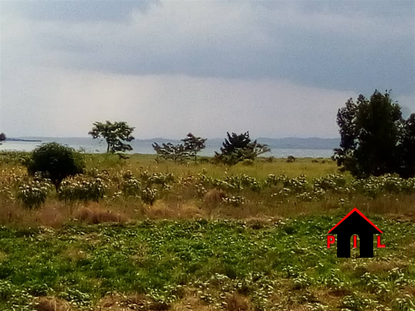Agricultural Land for sale in Masujju Mukono