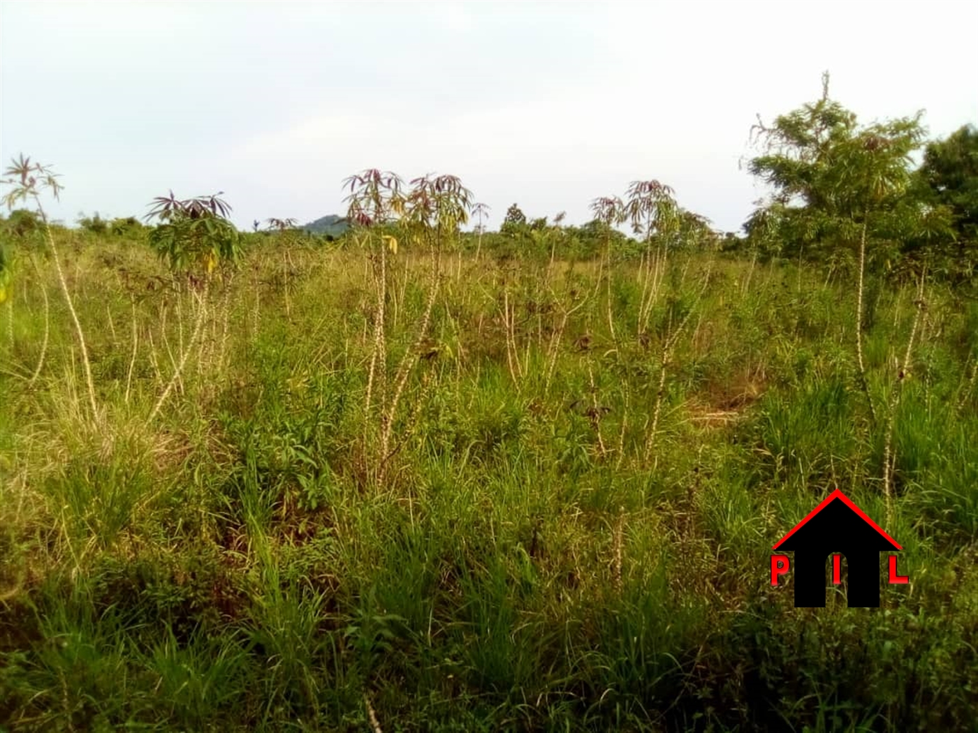 Residential Land for sale in Ssanga Wakiso