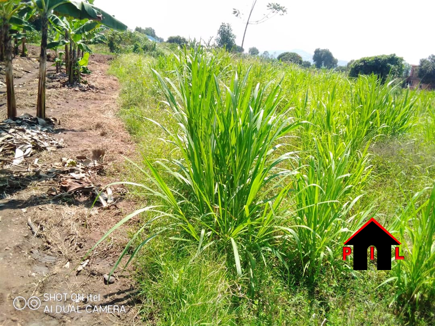 Agricultural Land for sale in Mpaata Mukono