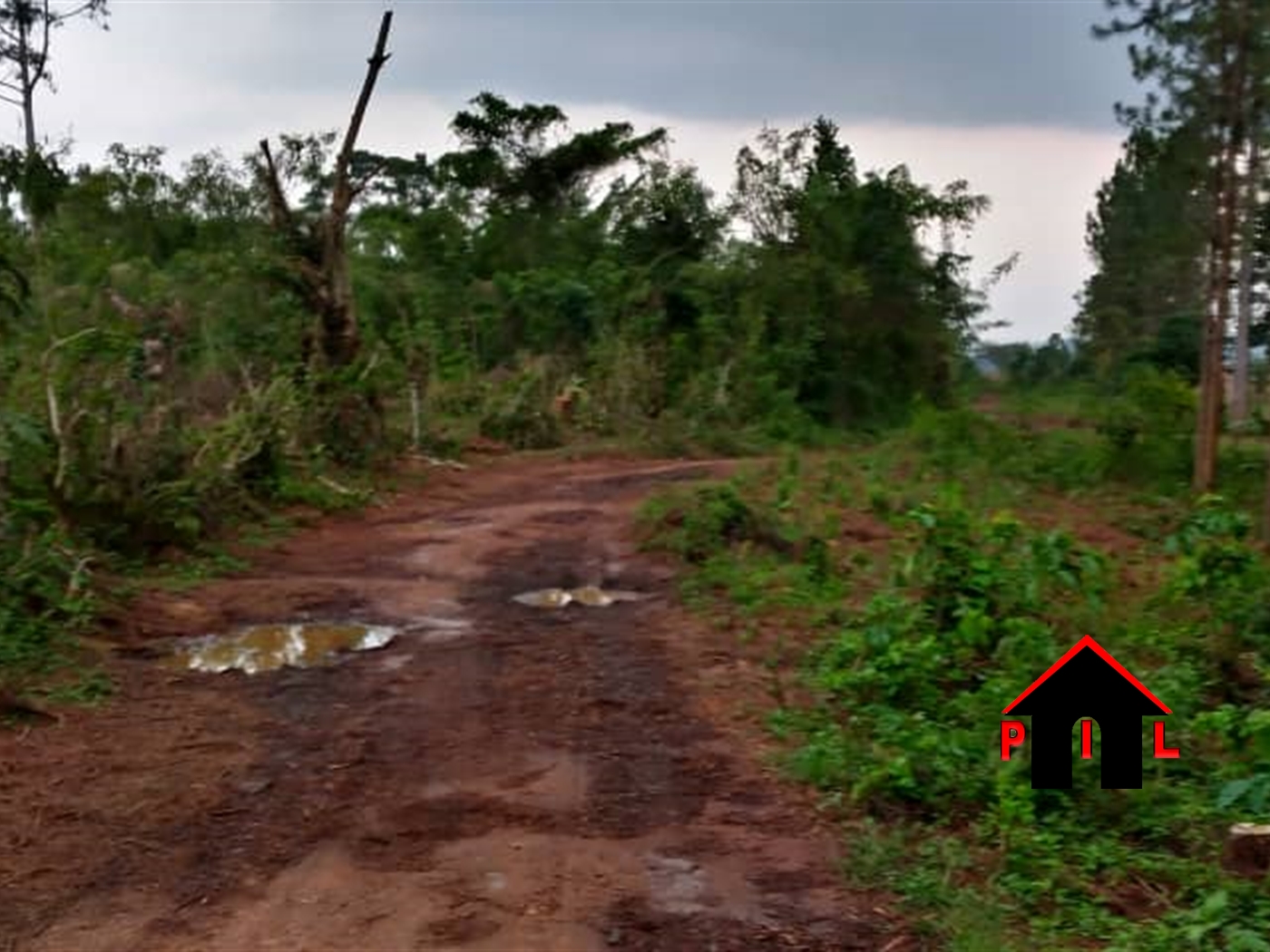 Agricultural Land for sale in Kassayi Mukono