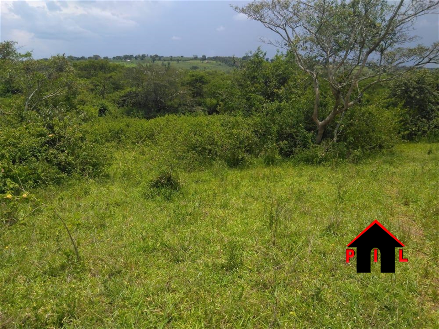 Agricultural Land for sale in Kanoni Gomba