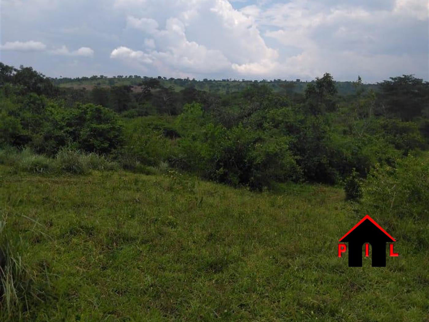 Agricultural Land for sale in Kanoni Gomba