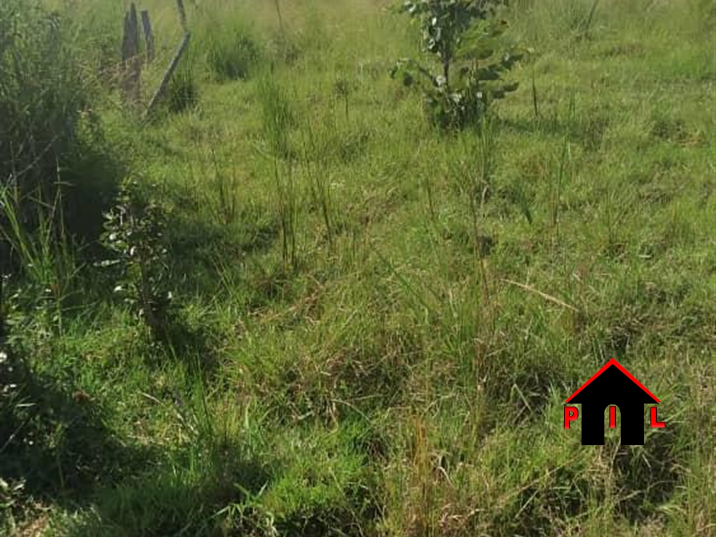 Residential Land for sale in Kigunga Mukono