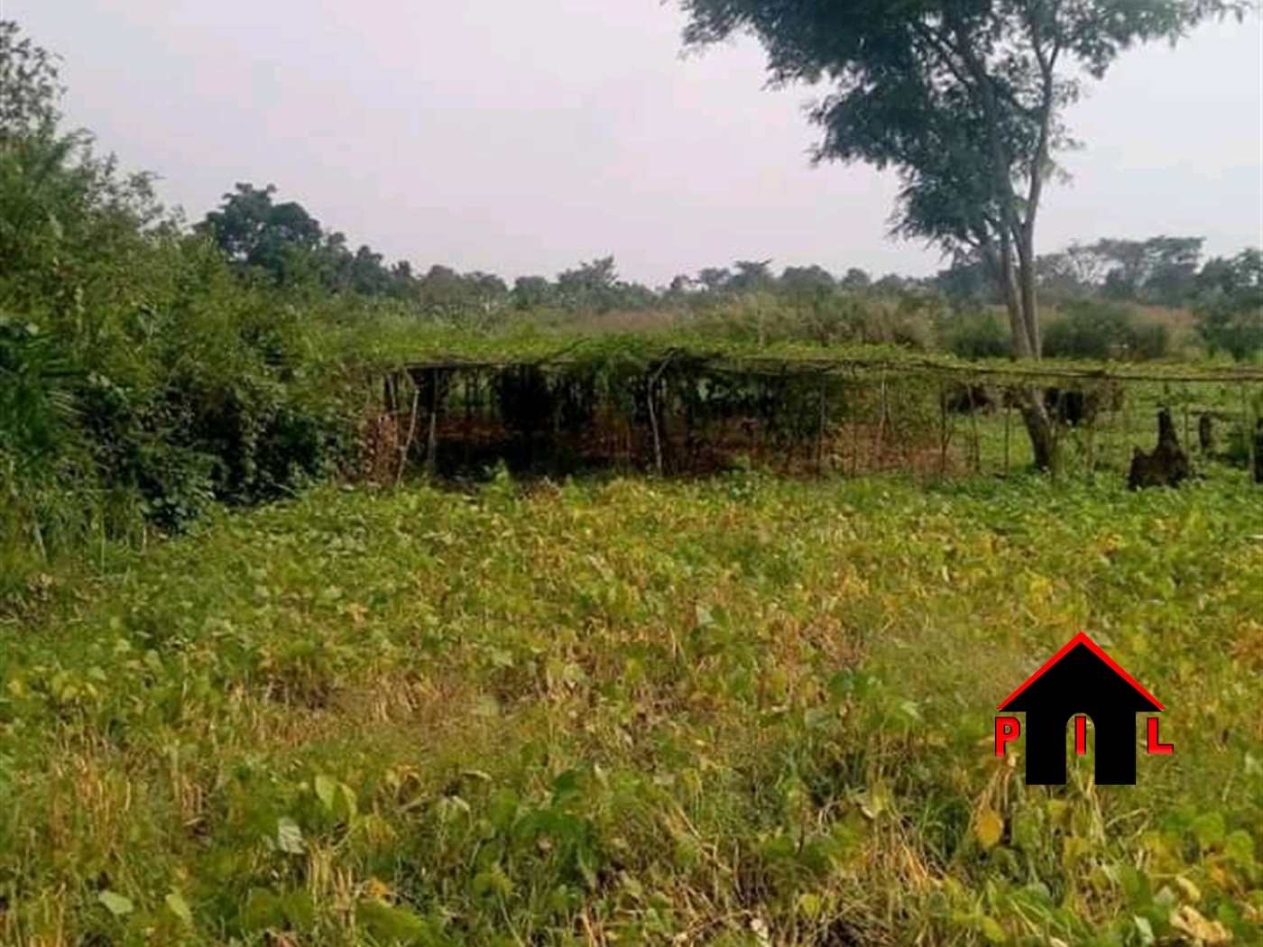 Agricultural Land for sale in Mutukula Masaka