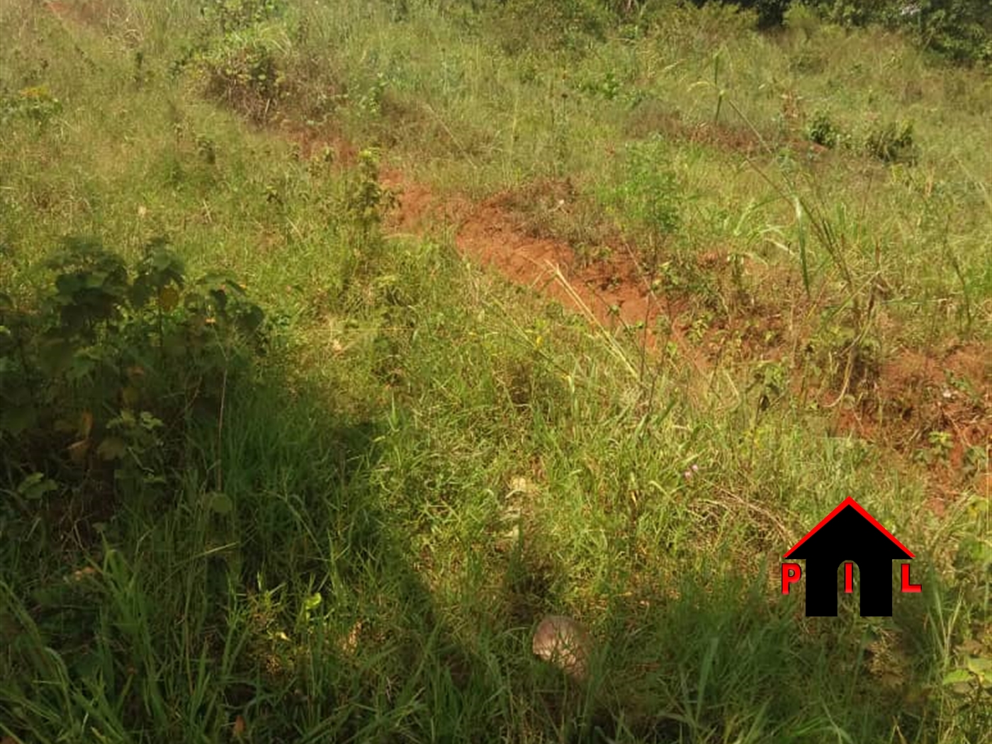 Residential Land for sale in Kiyunga Mukono