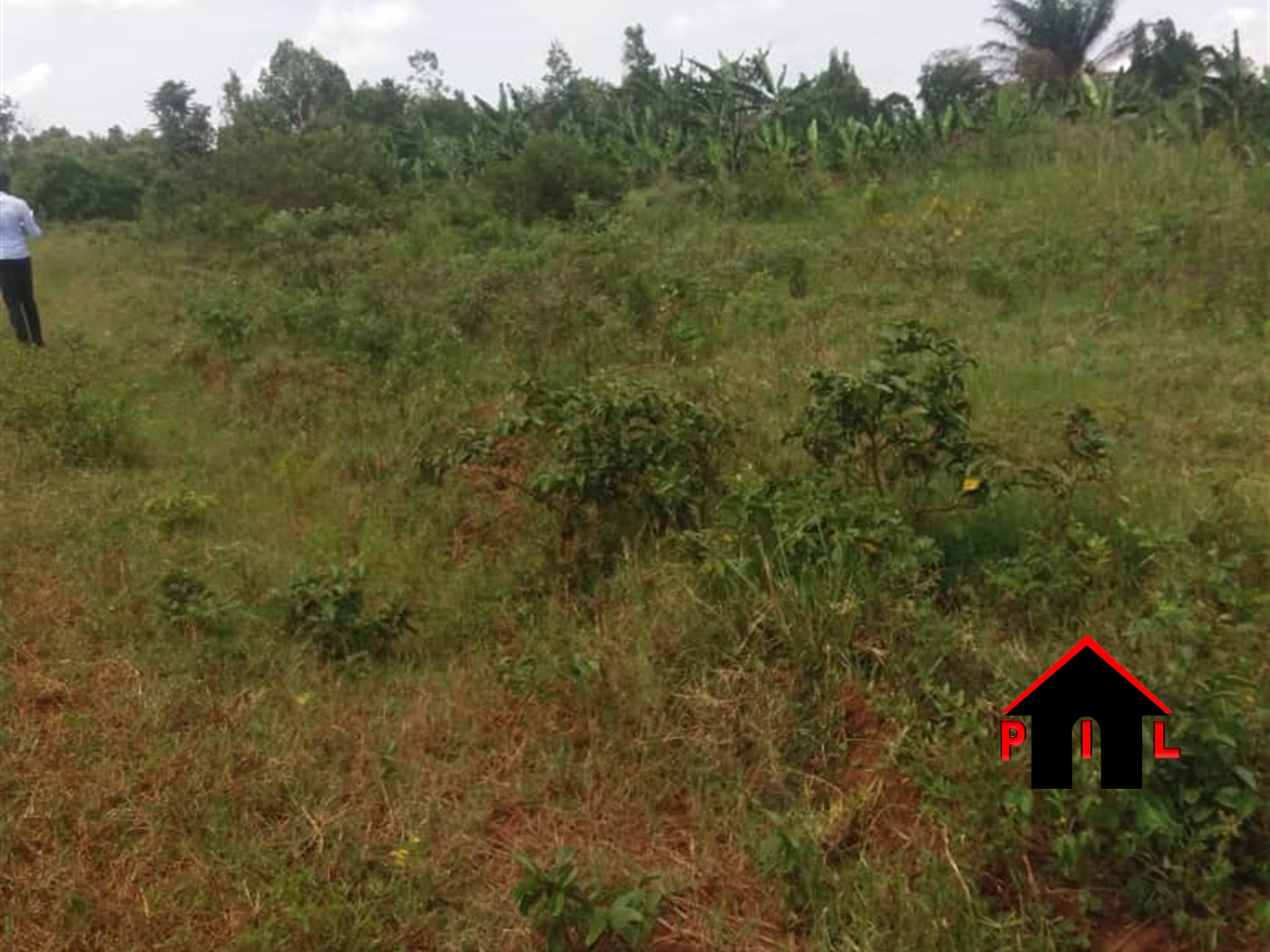 Residential Land for sale in Kiyunga Mukono