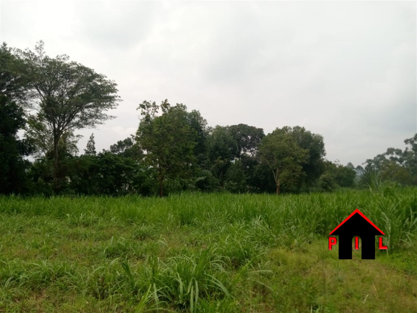 Agricultural Land for sale in Kiwanula Luweero