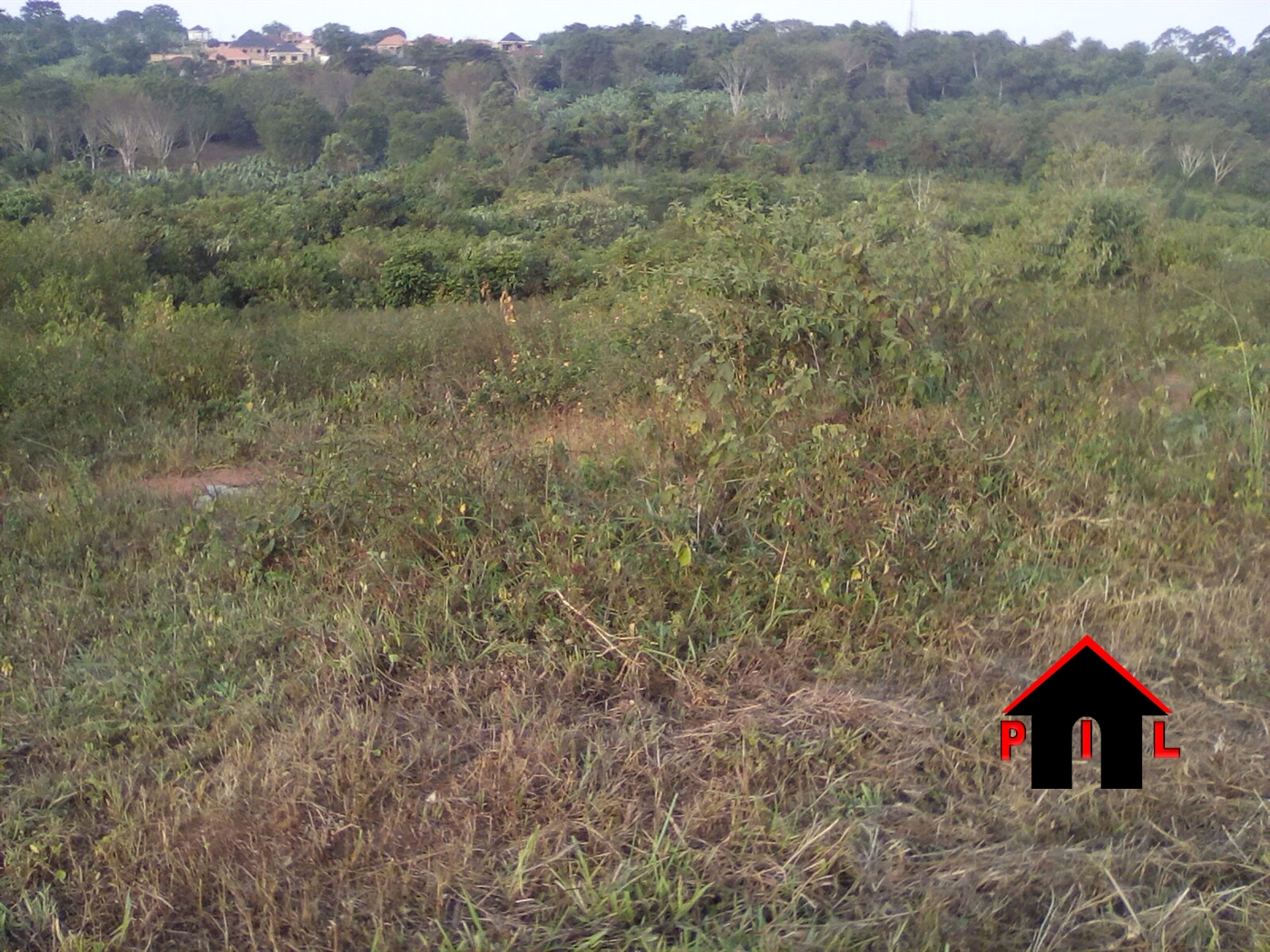 Agricultural Land for sale in Kiwanula Luwero