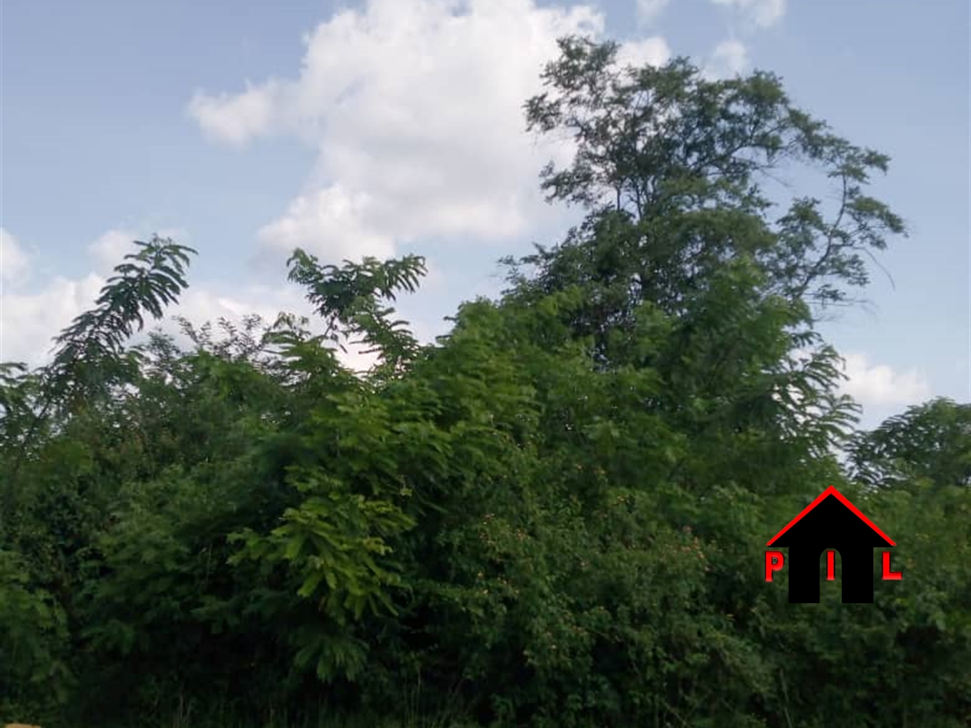 Agricultural Land for sale in Lwamuwungu Nakaseke