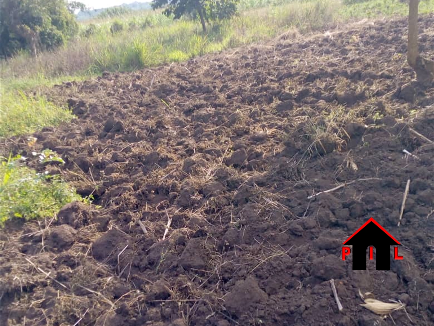 Agricultural Land for sale in Kikyuusa Luweero