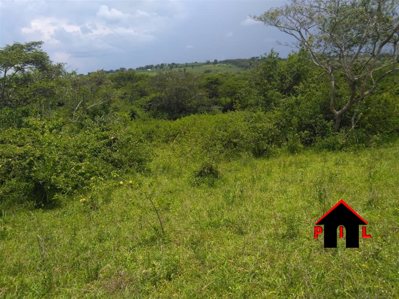 Agricultural Land for sale in Lwabenge Gomba