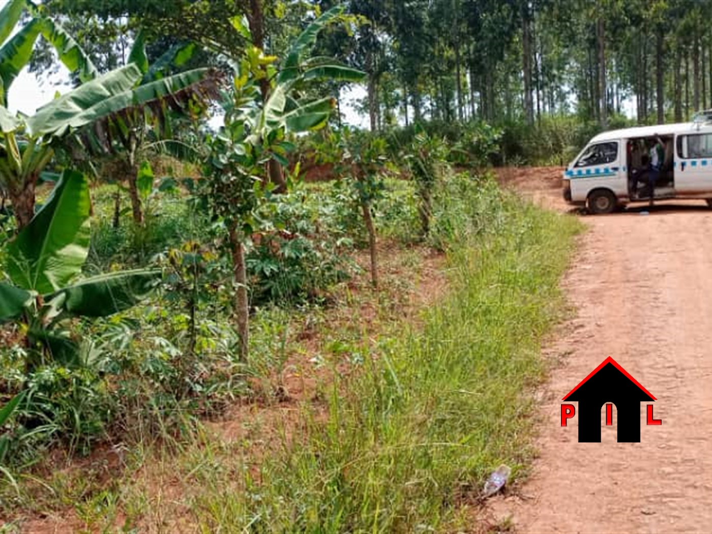 Agricultural Land for sale in Kikyuusa Luweero