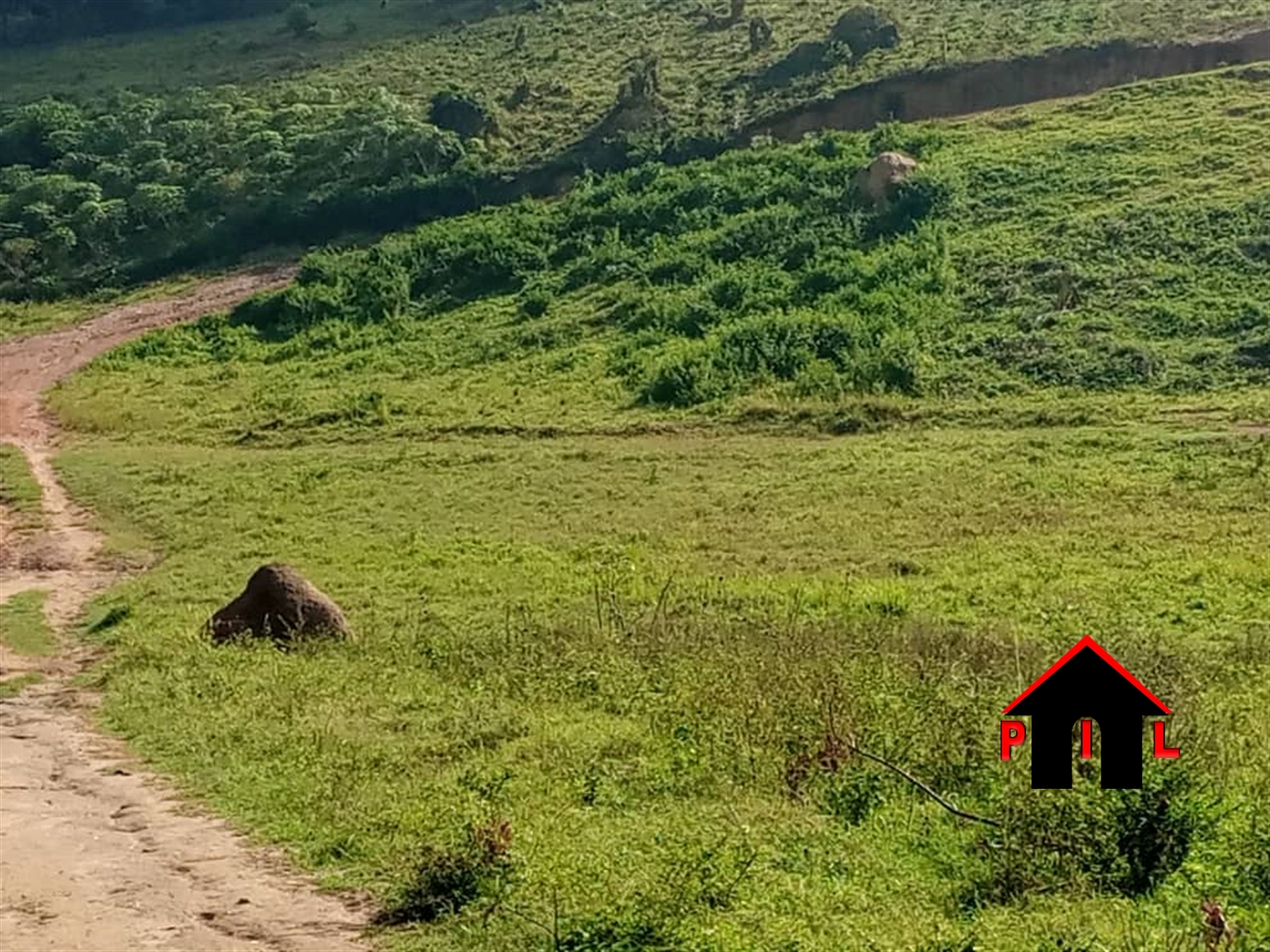 Agricultural Land for sale in Kapeeka Nakaseke