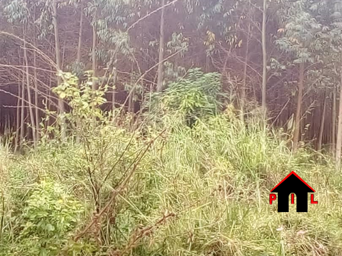 Agricultural Land for sale in Bubanda Mubende