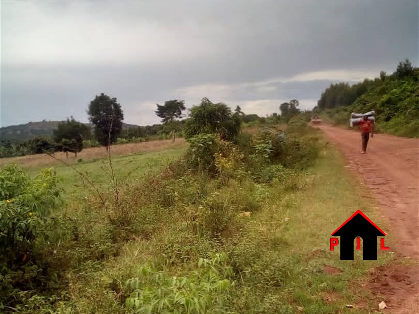 Agricultural Land for sale in Bubanda Mubende