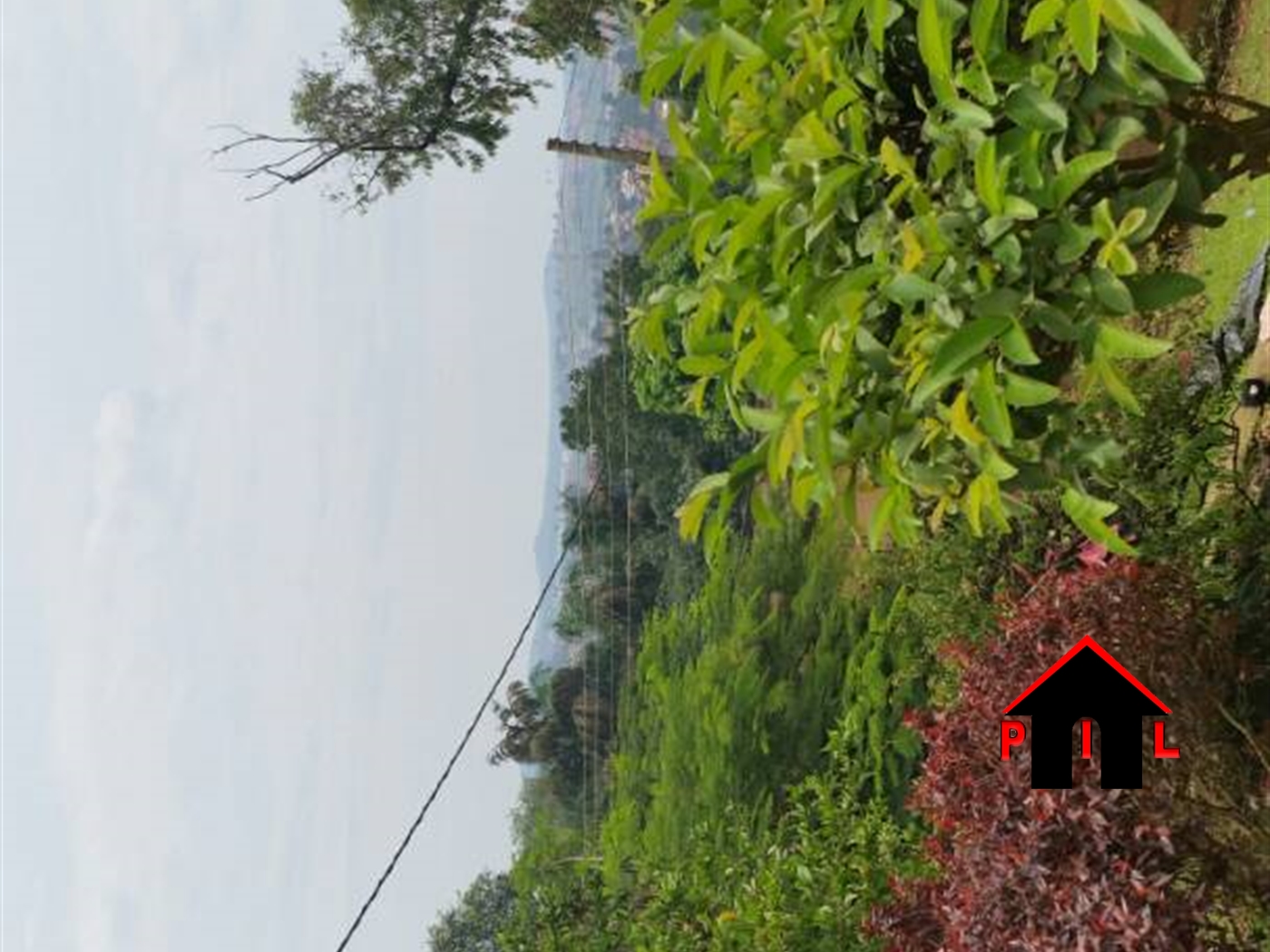 Agricultural Land for sale in Kapeeka Nakaseke