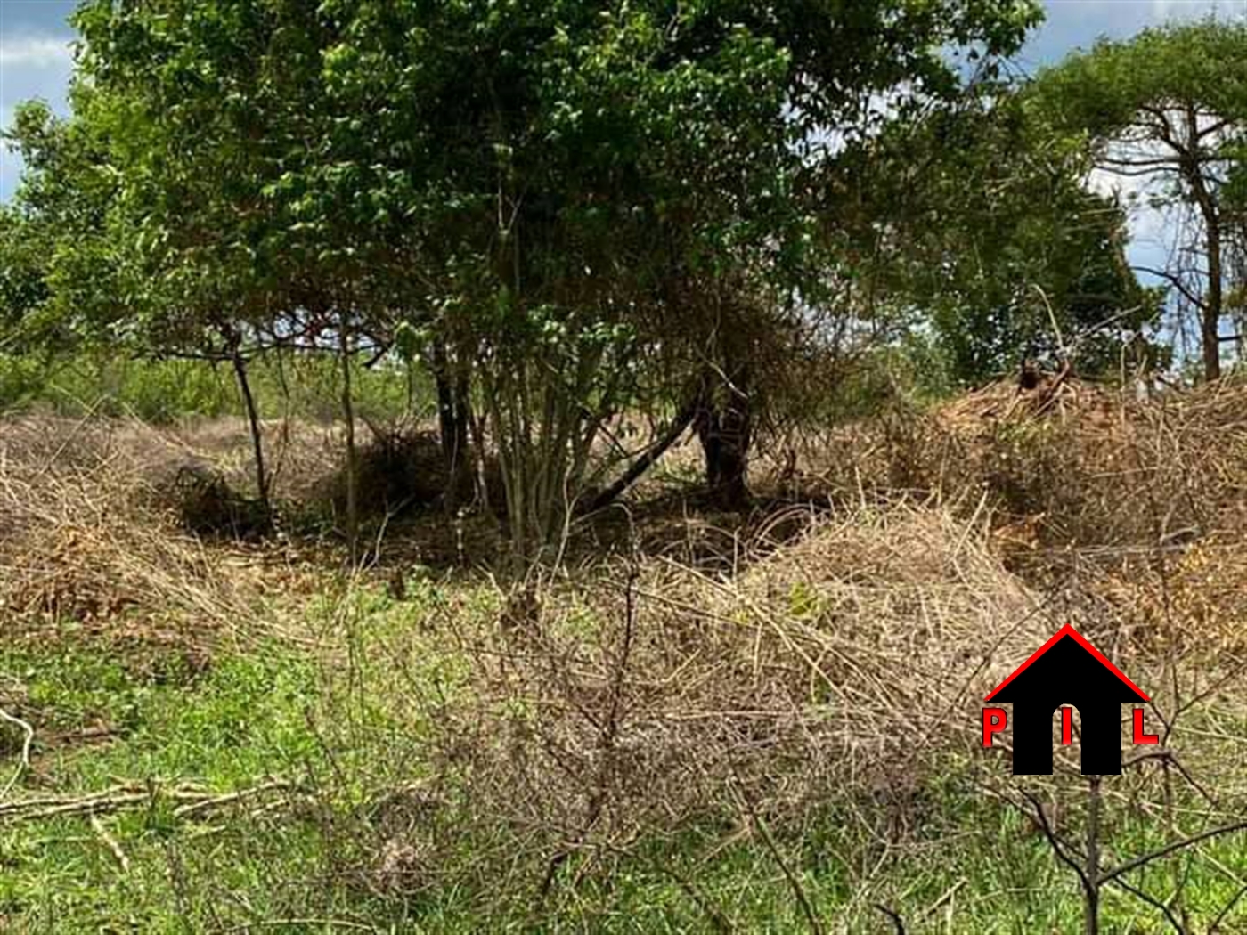 Agricultural Land for sale in Busiika Luweero