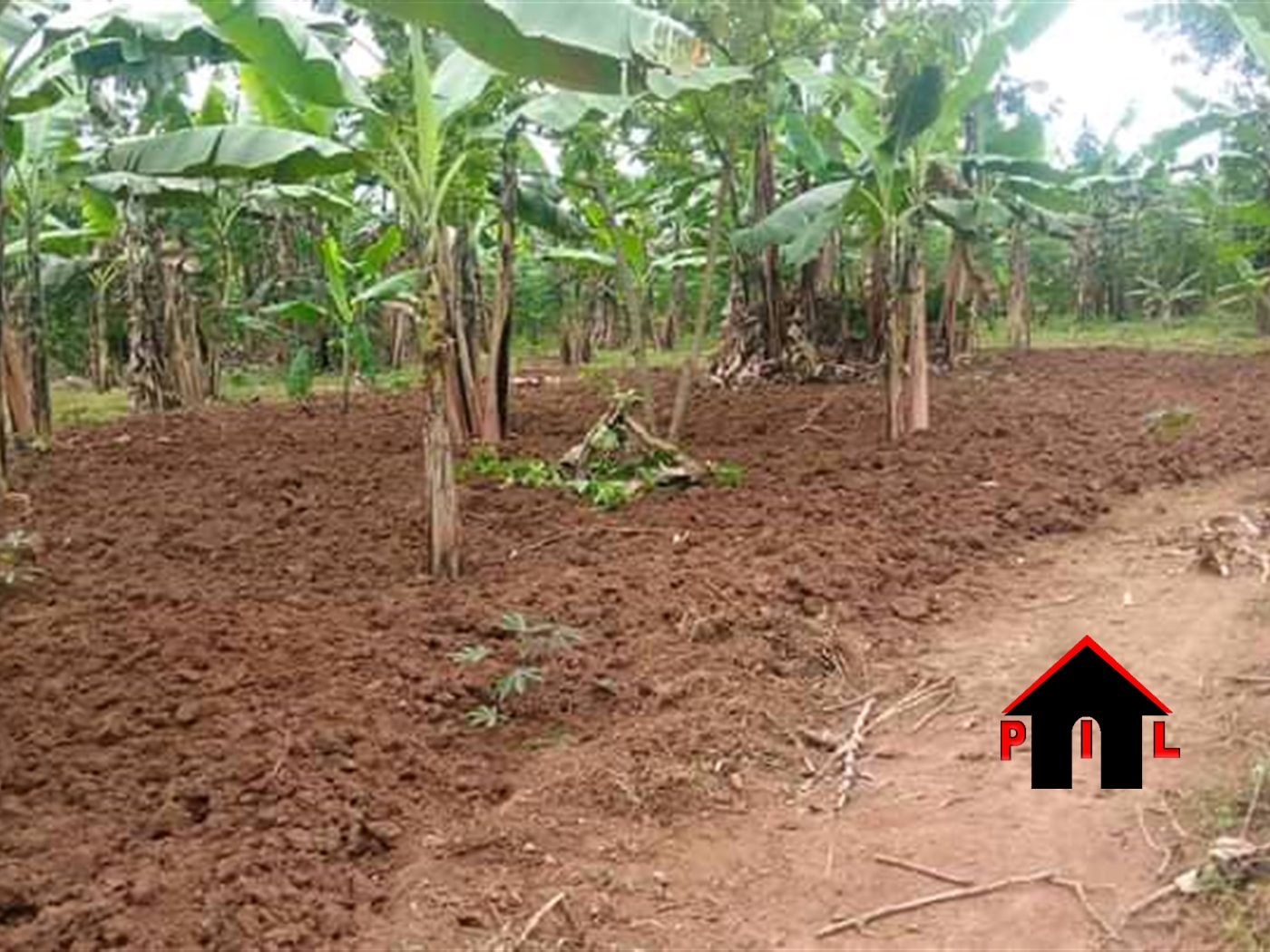 Agricultural Land for sale in Busukuma Wakiso