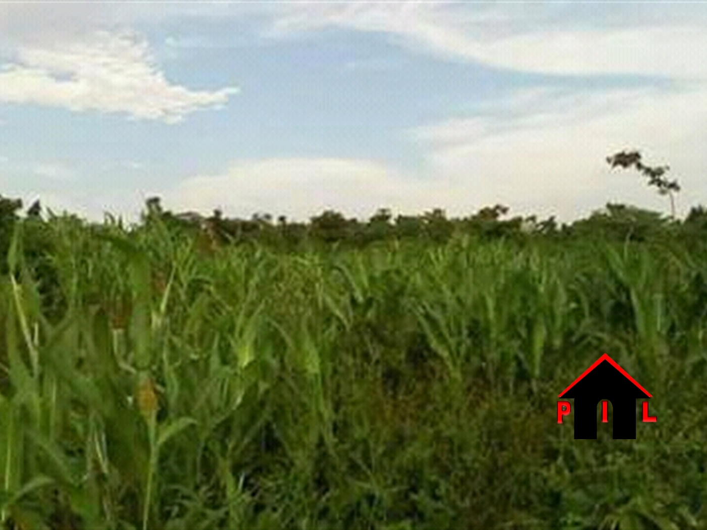 Agricultural Land for sale in Busiika Luweero