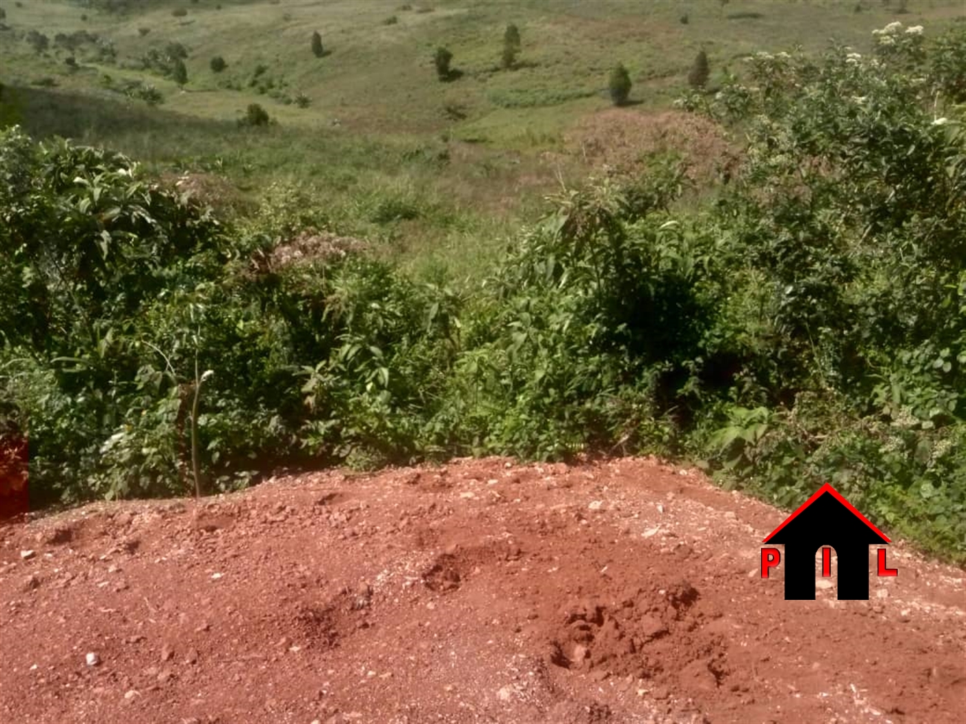 Agricultural Land for sale in Ziloobwe Luweero