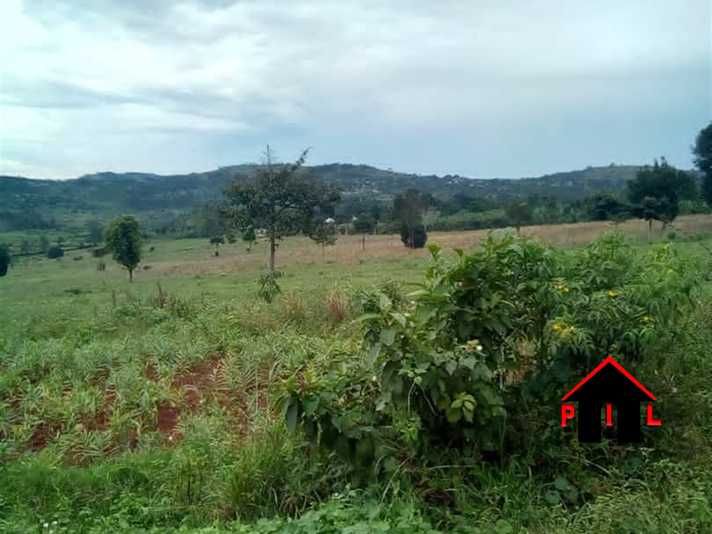 Agricultural Land for sale in Namulonge Wakiso