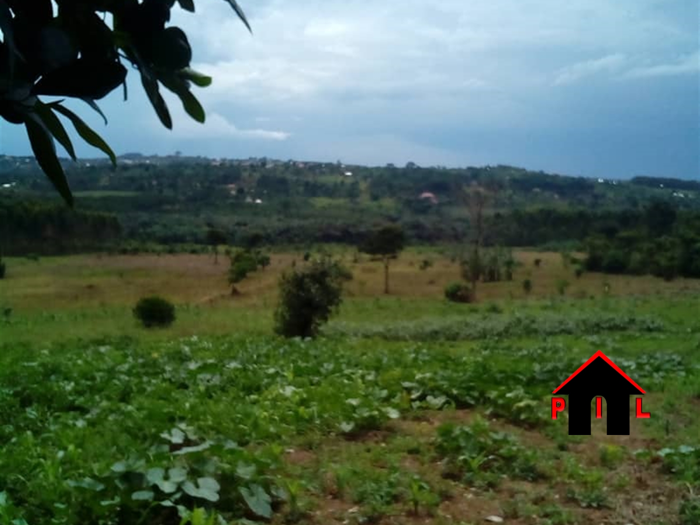 Agricultural Land for sale in Kikyuusa Luweero