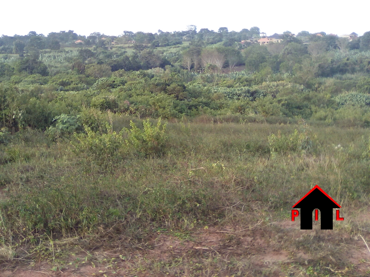 Agricultural Land for sale in Nakassajja Wakiso