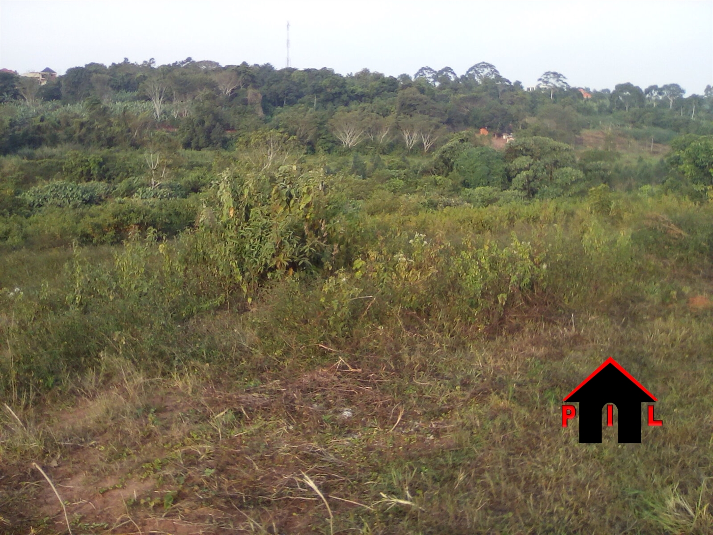 Agricultural Land for sale in Nakassajja Wakiso