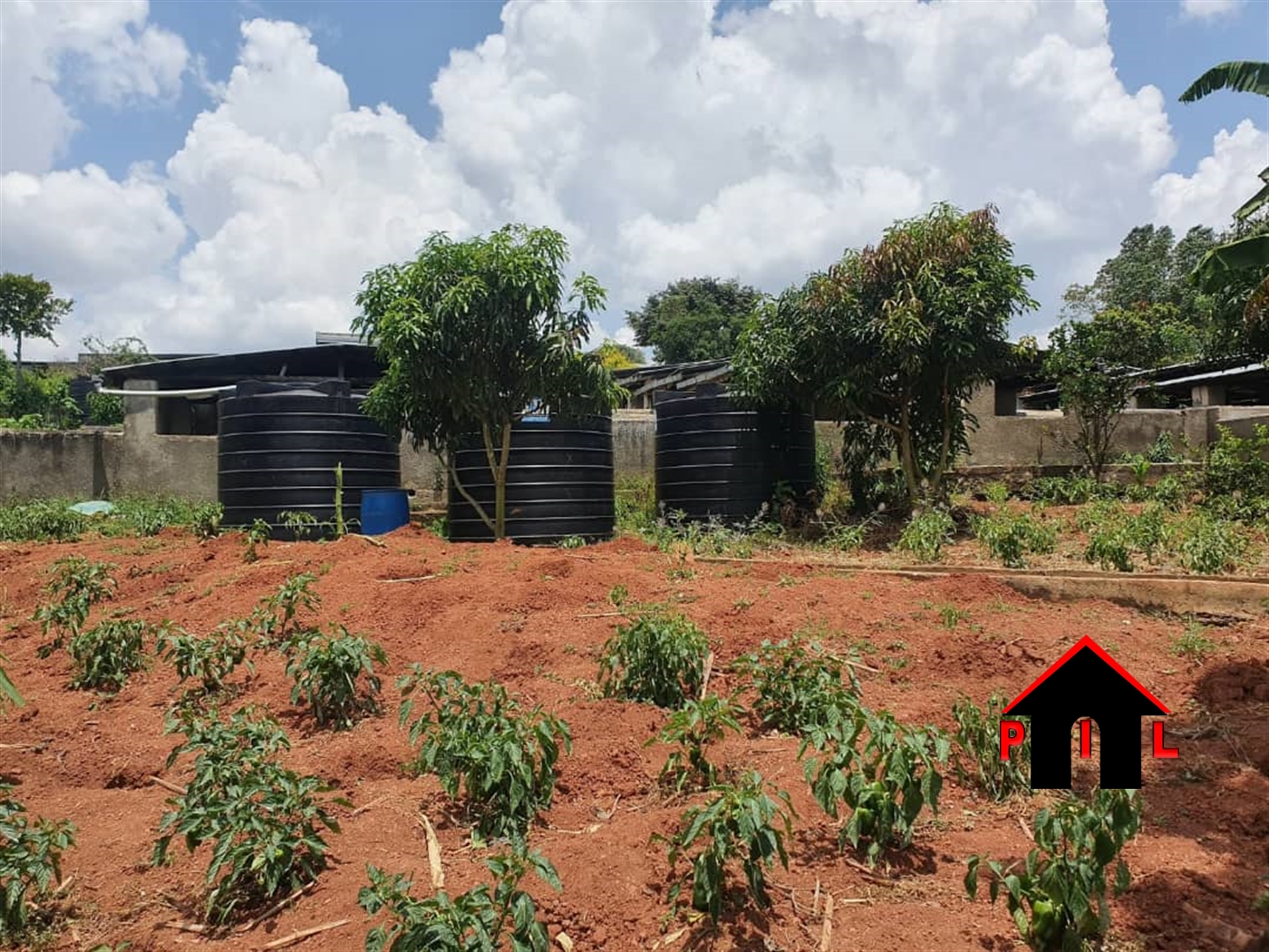 Farm for sale in Kiyindi Buyikwe