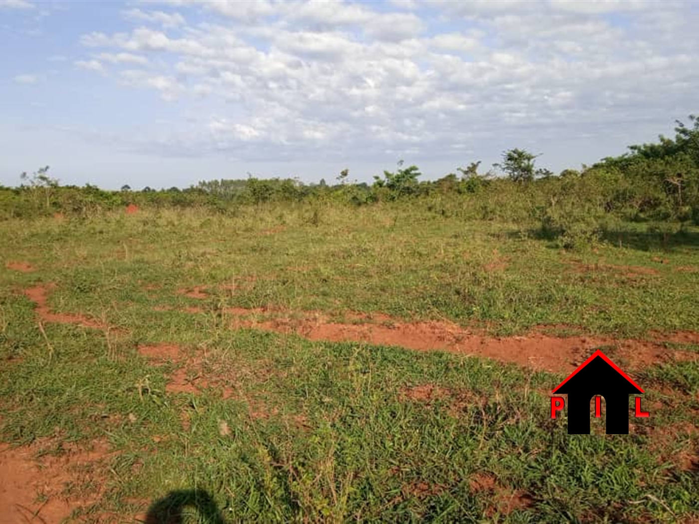 Agricultural Land for sale in Kakuwano Luweero