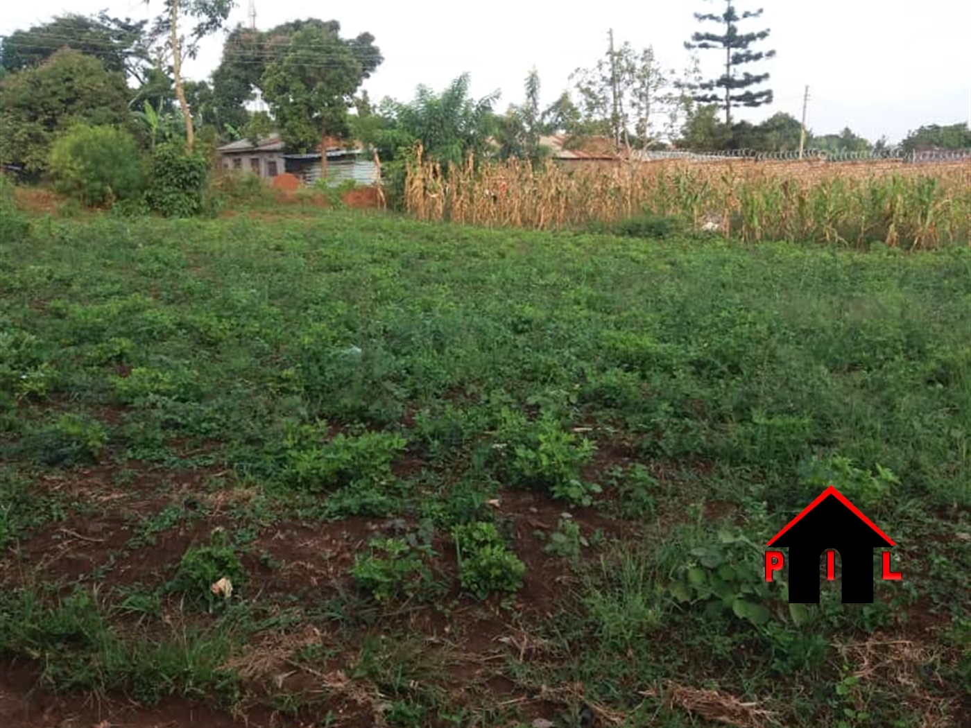 Residential Land for sale in Katende Mpigi