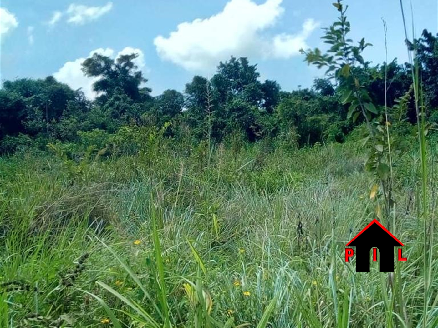 Agricultural Land for sale in Kyotela Masaka