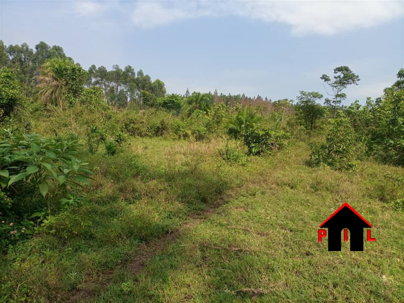 Agricultural Land for sale in Busunjju Wakiso