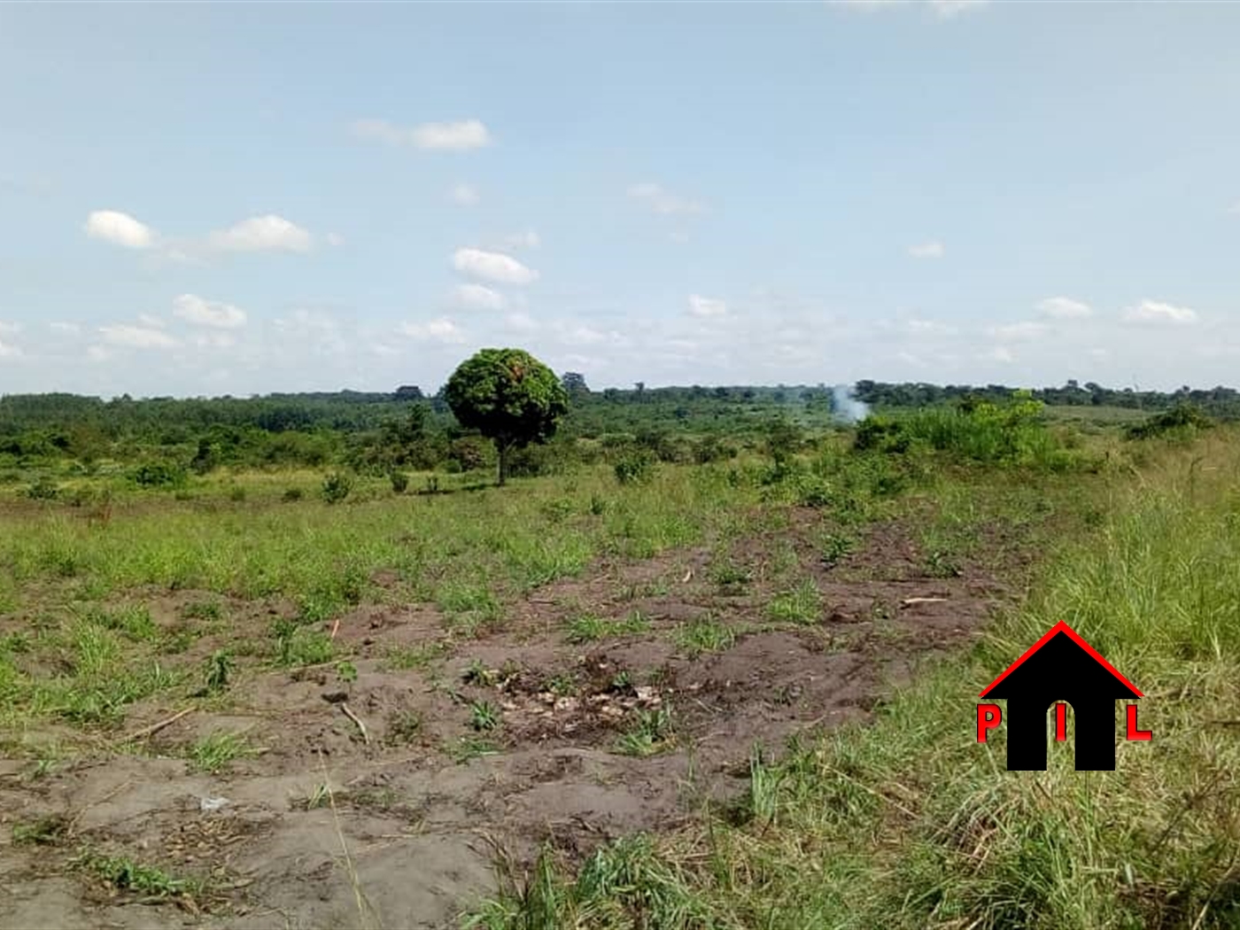 Agricultural Land for sale in Busukuma Wakiso