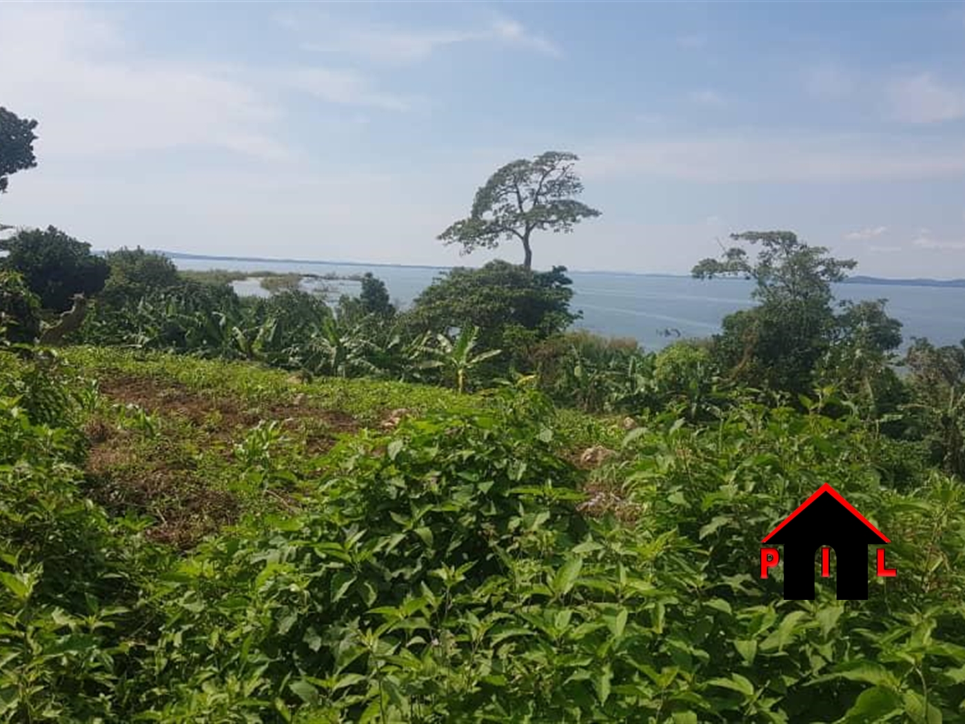 Commercial Land for sale in Bunjazzi Kalangala