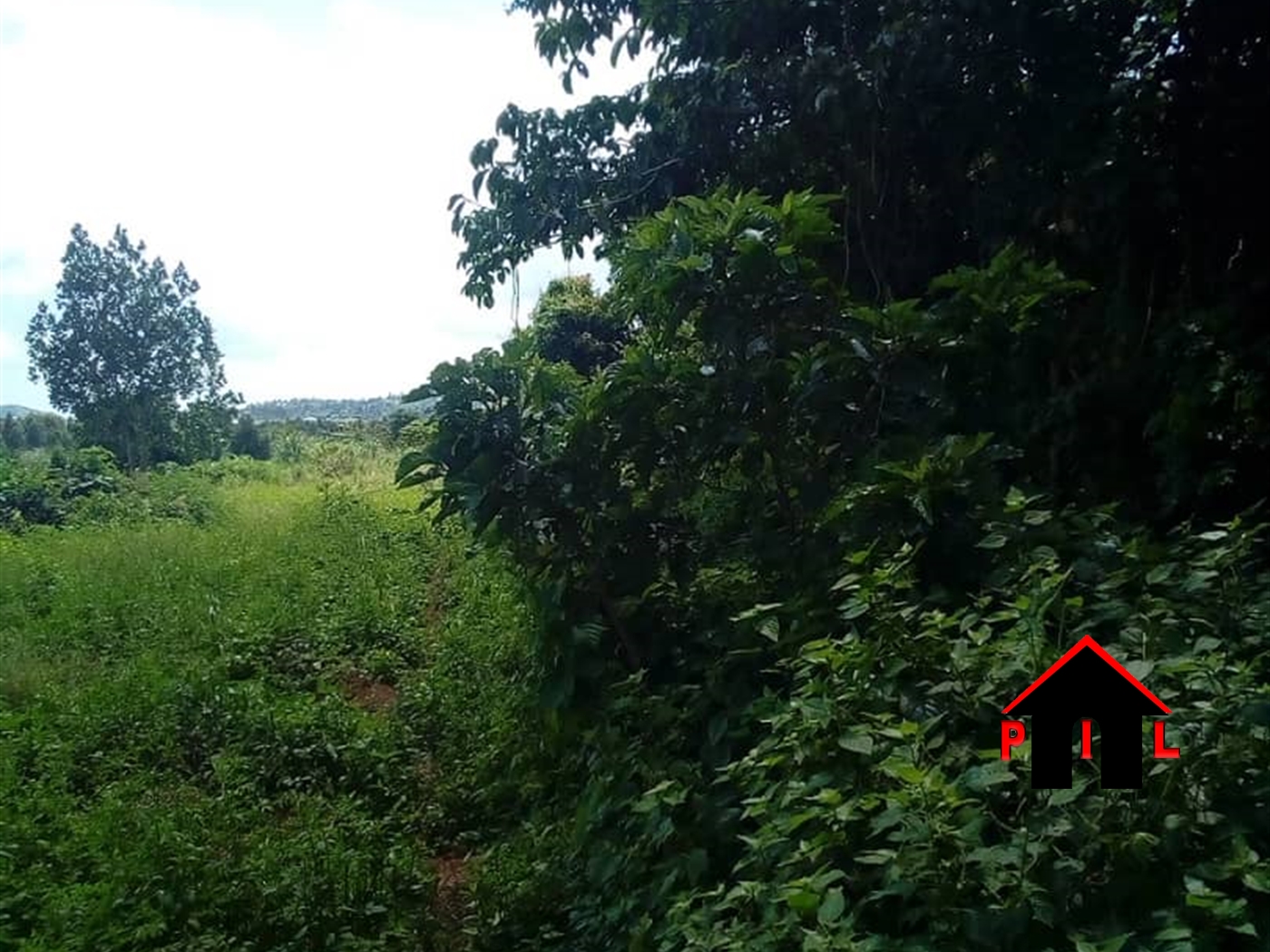 Agricultural Land for sale in Bagezza Mubende