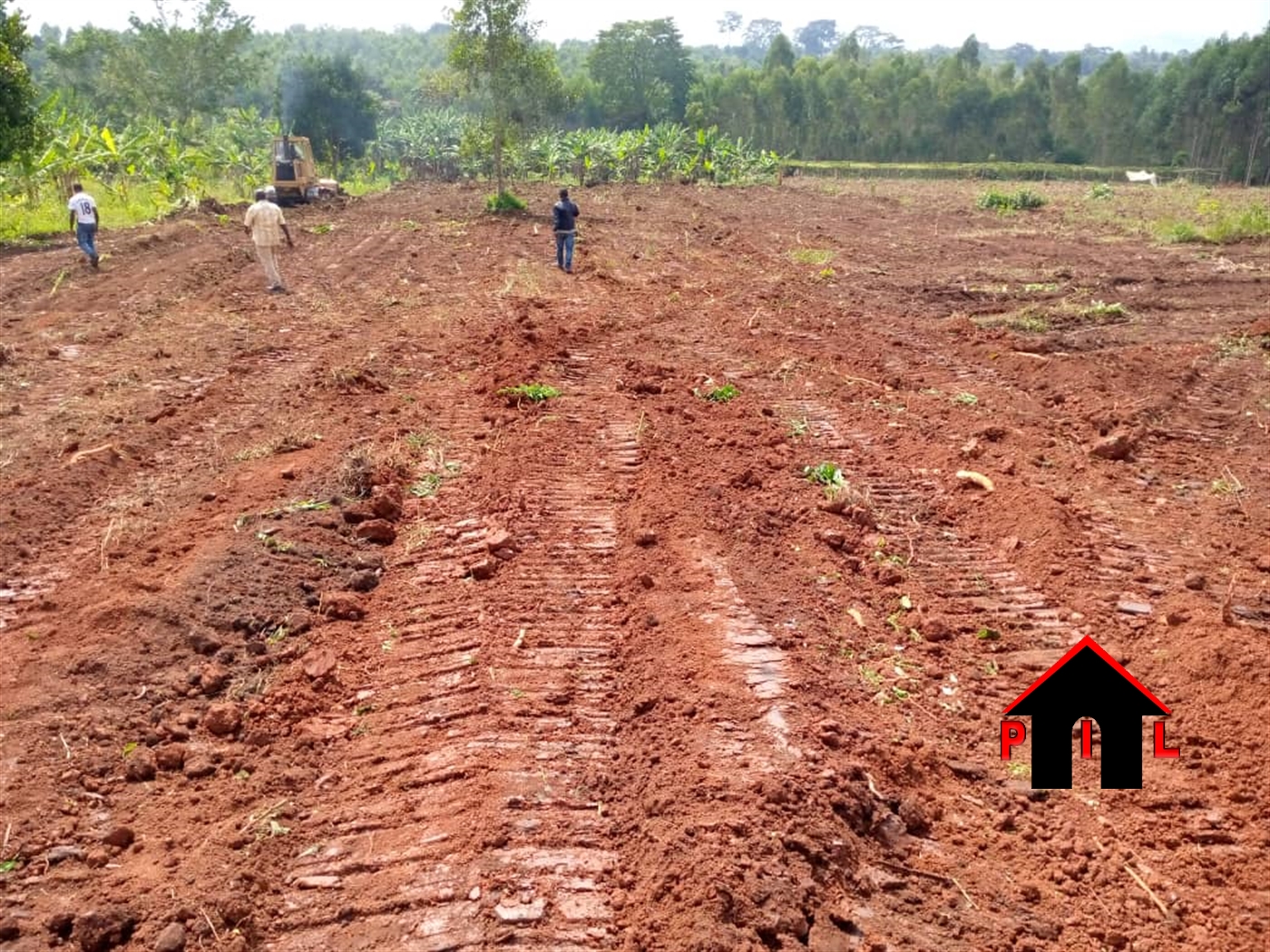 Agricultural Land for sale in Lwamata Nakaseke